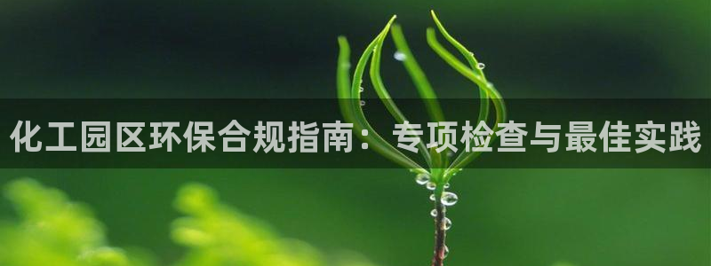 亿万先生客户端下载安装：化工园区环保合规指南：专项检查与最佳实践