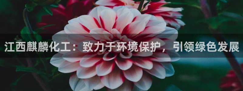 亿万同人字幕组微博的微博：江西麒麟化工：致力于环境保护，引领绿色发展