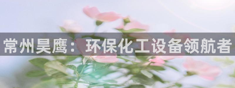 亿万先生客户端官网：常州昊鹰：环保化工设备领航者