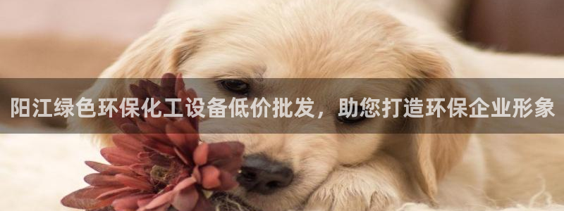 亿万先生官方客服电话：阳江绿色环保化工设备低价批发，助您打造环保企业形象