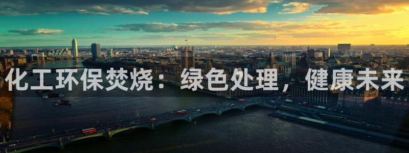 亿万先生是男是女：化工环保焚烧：绿色处理，健康未来