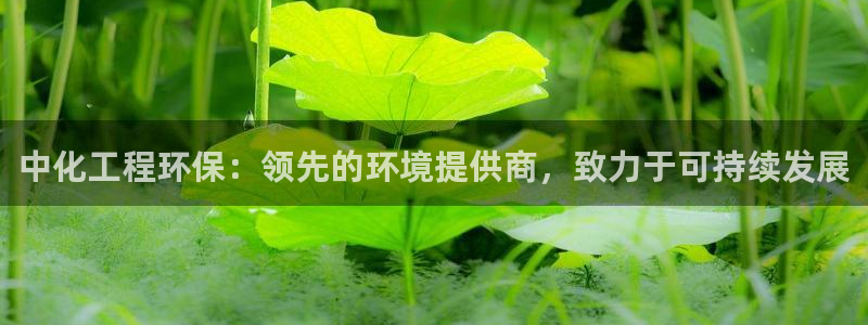 亿万首富游戏破解版无限钻石：中化工程环保：领先的环境提供商，致力于可持续发展
