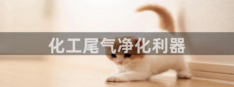 亿万先生 手机版下载安装：化工尾气净化利器