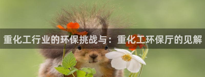 亿万先生官方客服：重化工行业的环保挑战与：重化工环保厅的见解