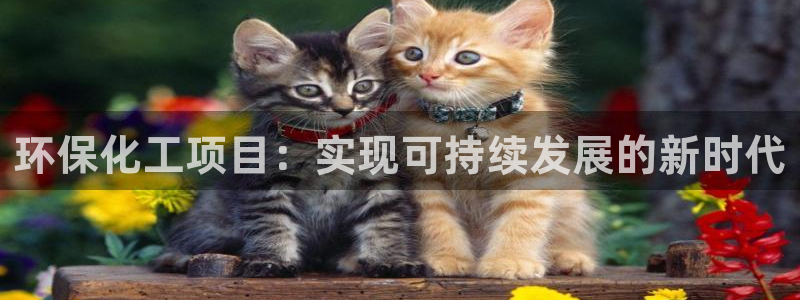 亿万先生客户端怎么下载：环保化工项目：实现可持续发展的新时代