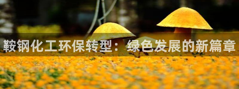 亿万国际游戏官网手机版：鞍钢化工环保转型：绿色发展的新篇章