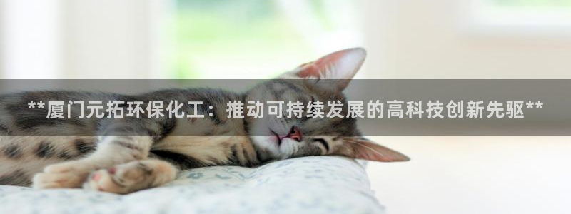 亿万先生手机版入口在哪：**厦门元拓环保化工：推动可持续发展的高科技创新先驱**