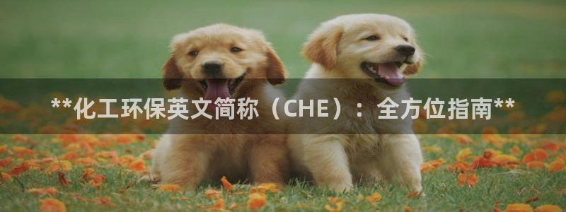 亿万先生：**化工环保英文简称（CHE）：全方位指南**