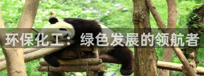 亿万先生游戏平台网址：环保化工：绿色发展的领航者