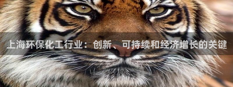 亿万先生客服联系：上海环保化工行业：创新、可持续和经济增长的关键