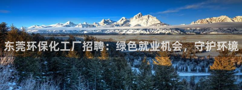 亿万首富手游：东莞环保化工厂招聘：绿色就业机会，守护环境