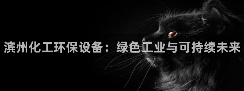 亿万首富手游兑换码：滨州化工环保设备：绿色工业与可持续未来