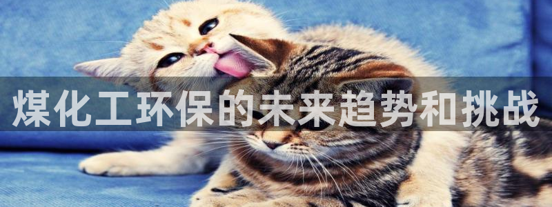 亿万下载：煤化工环保的未来趋势和挑战