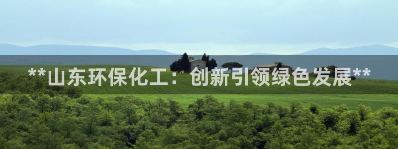 mr8001亿万先生：**山东环保化工：创新引领绿色发展**