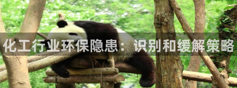 亿万手游平台官网：化工行业环保隐患：识别和缓解策略