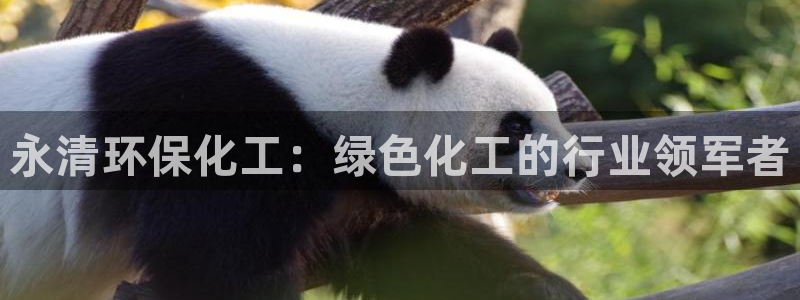 亿万先生换网址了吗：永清环保化工：绿色化工的行业领军者