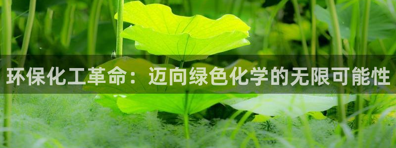 亿万先生客户端官网登录不了：环保化工革命：迈向绿色化学的无限可能性