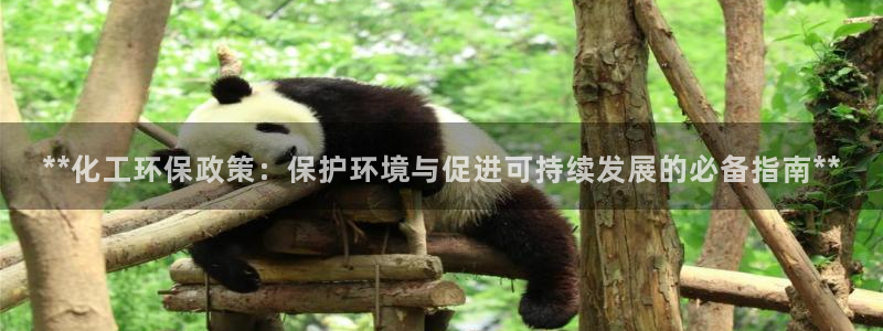 亿万先生充电桩：**化工环保政策：保护环境与促进可持续发展的必备指南**