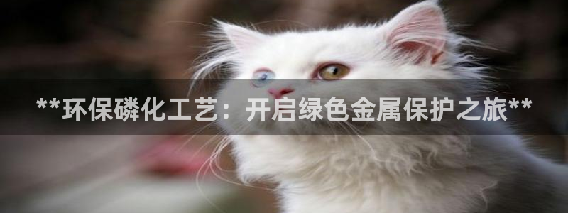 亿万贴吧：**环保磷化工艺：开启绿色金属保护之旅**
