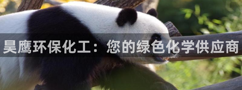 亿万先生客户端下载安装：昊鹰环保化工：您的绿色化学供应商