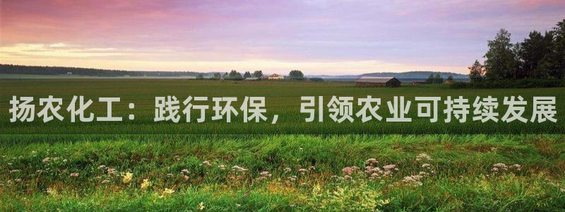 mr003亿万先生：扬农化工：践行环保，引领农业可持续发展