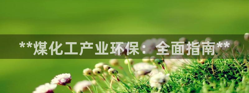 亿万先生首页：**煤化工产业环保：全面指南**