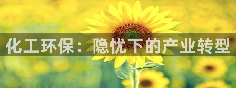 亿万先生mr07官网：化工环保：隐忧下的产业转型
