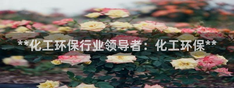 亿万城市手游官网：**化工环保行业领导者：化工环保**
