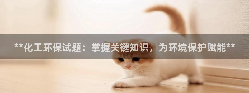 亿万先生官方网站首页：**化工环保试题：掌握关键知识，为环境保护赋能**