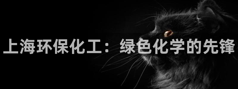 亿万billions：上海环保化工：绿色化学的先锋