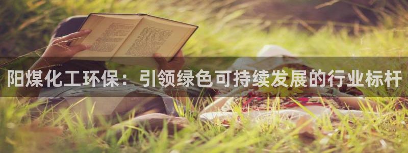 mr8001亿万先生：阳煤化工环保：引领绿色可持续发展的行业标杆