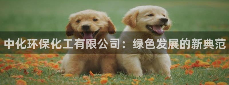 亿万先生合并网址在哪：中化环保化工有限公司：绿色发展的新典范