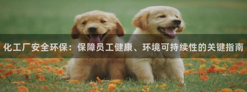 亿万先生手机版入：化工厂安全环保：保障员工健康、环境可持续性的关键指南