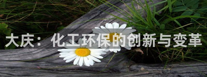 亿万先生客服联系方式是什么：大庆：化工环保的创新与变革