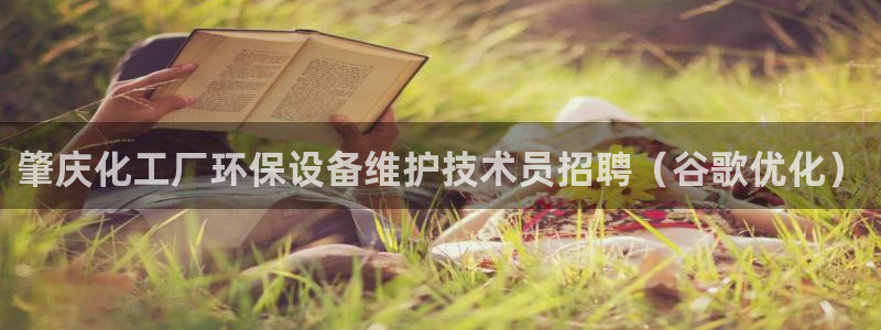 亿万百度吧：肇庆化工厂环保设备维护技术员招聘（谷歌优化）