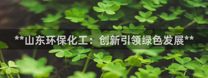 亿万先生合并网址是什么：**山东环保化工：创新引领绿色发展**