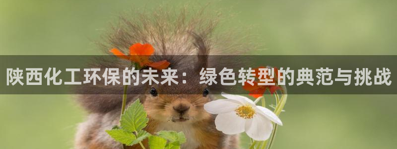 亿万首富游戏：陕西化工环保的未来：绿色转型的典范与挑战