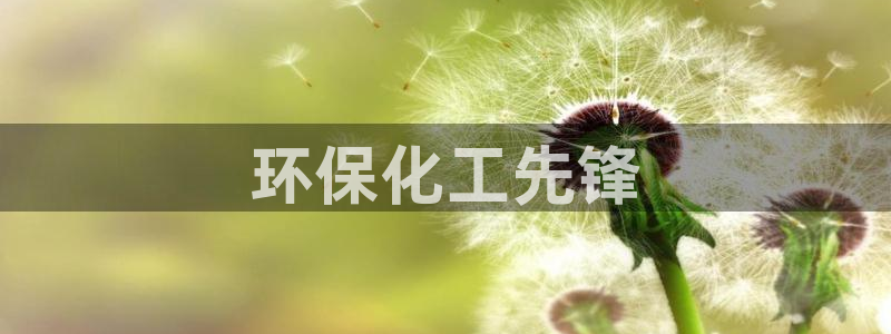亿万先生充电桩：环保化工先锋