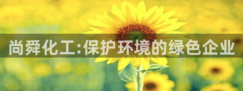 电影 亿万：尚舜化工:保护环境的绿色企业