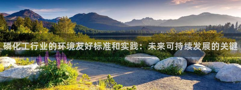 亿万先生客户端下载：磷化工行业的环境友好标准和实践：未来可持续发展的关键
