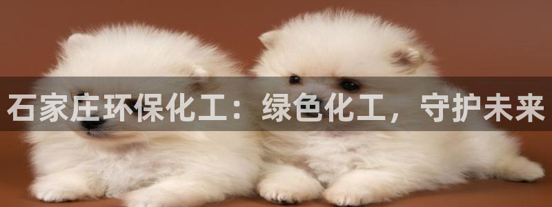亿万网友在线实时为您解答：石家庄环保化工：绿色化工，守护未来