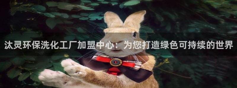 亿万百度百科：汰灵环保洗化工厂加盟中心：为您打造绿色可持续的世界