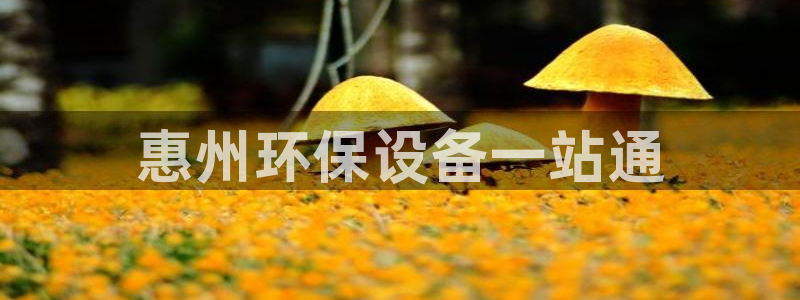 亿万先生：惠州环保设备一站通