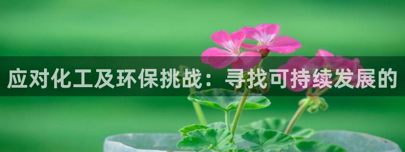 亿万网友在线实时为你解答：应对化工及环保挑战：寻找可持续发展的