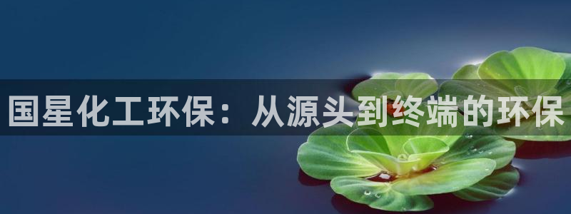 亿万国际app：国星化工环保：从源头到终端的环保