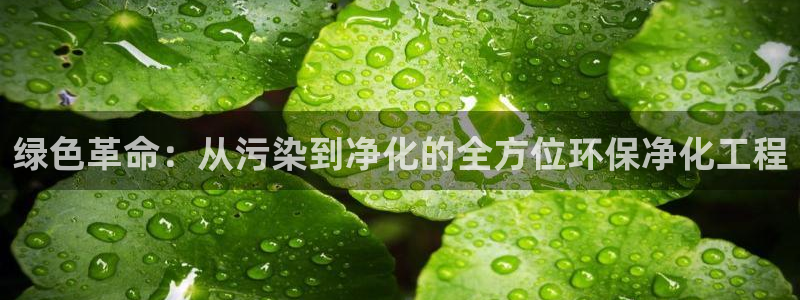 亿万billions：绿色革命：从污染到净化的全方位环保净化工程