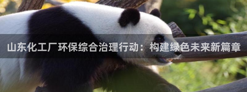亿万app下载：山东化工厂环保综合治理行动：构建绿色未来新篇章