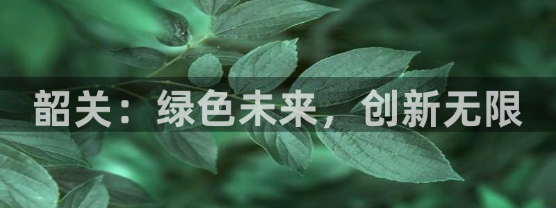 亿万先生客户端：韶关：绿色未来，创新无限