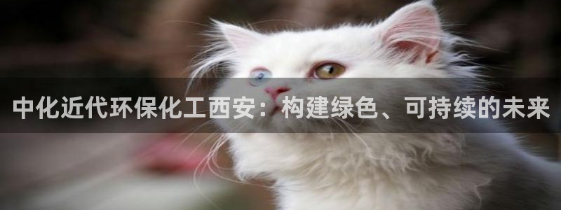 亿万讲了什么：中化近代环保化工西安：构建绿色、可持续的未来