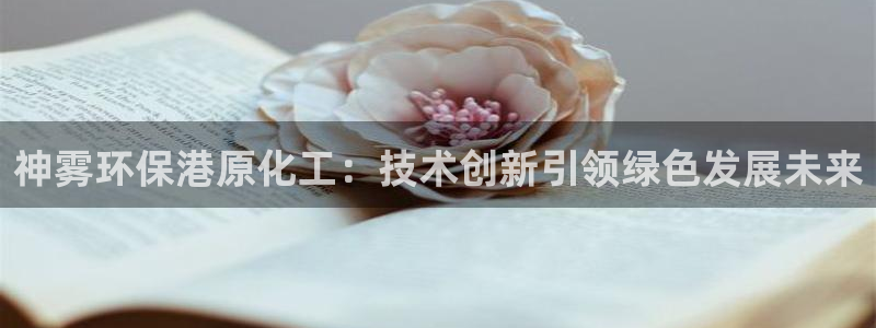 亿万先生合并：神雾环保港原化工：技术创新引领绿色发展未来